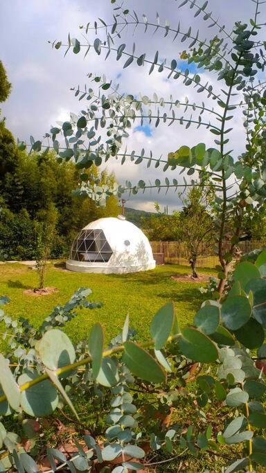 Dome In The Heart Of Boquete. Apartment Екстериор снимка