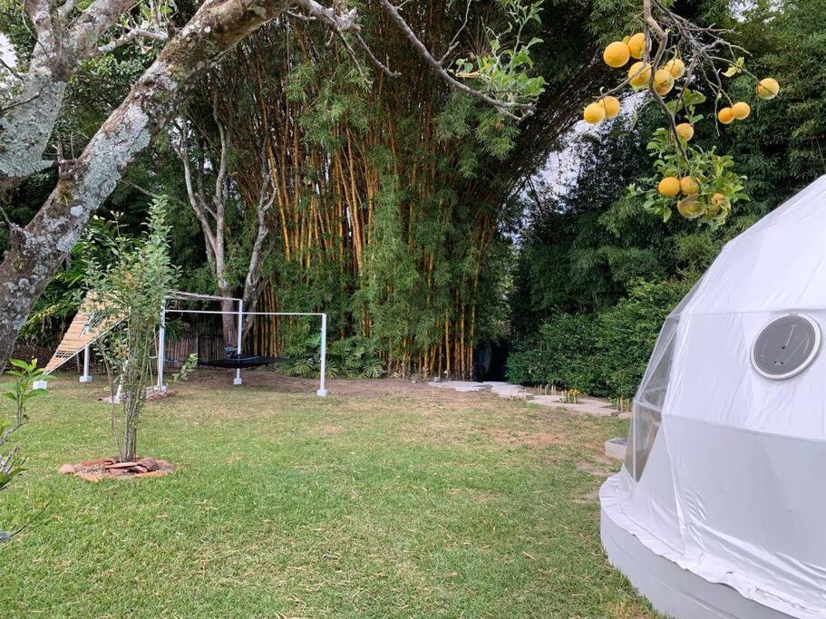 Dome In The Heart Of Boquete. Apartment Екстериор снимка