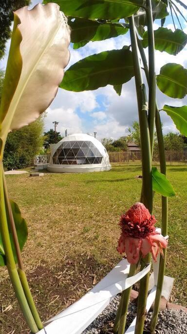Dome In The Heart Of Boquete. Apartment Екстериор снимка